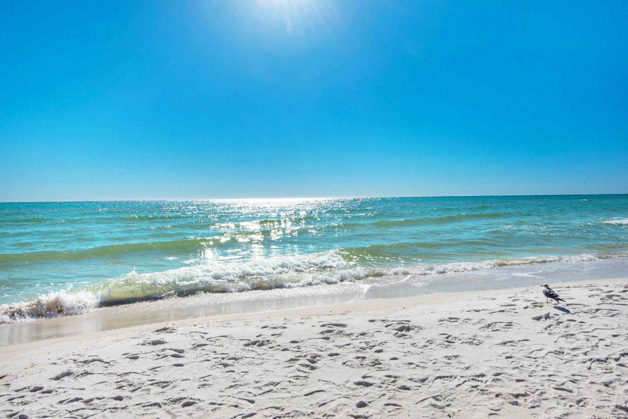 Shores Of Panama 1117 Panama City Beach Eksteriør bilde